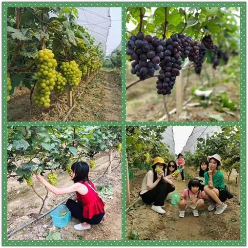 米可團(tuán)建活動(dòng)