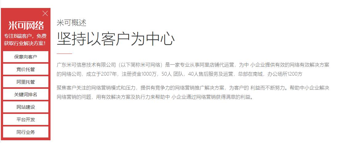 阿里巴巴代運(yùn)營公司